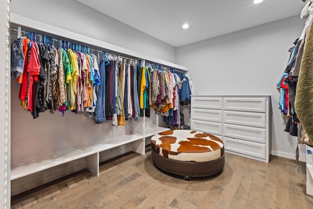 walk in closet featuring wood finished floors