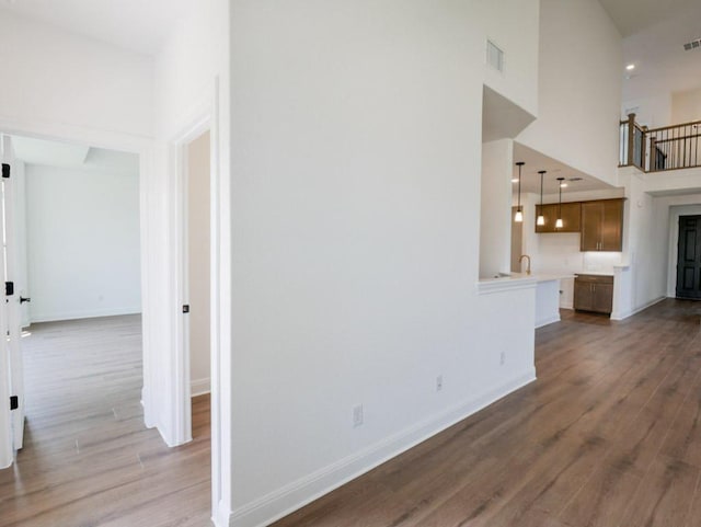 2916 Carrizo Ter, Leander, TX 78641 - hall featuring wood finished floors, baseboards, and a high ceiling