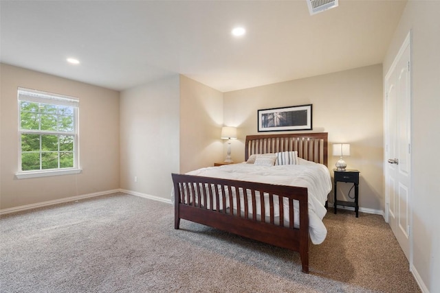 245 Peggy Dr, Liberty Hill, TX 78642 - photo 23