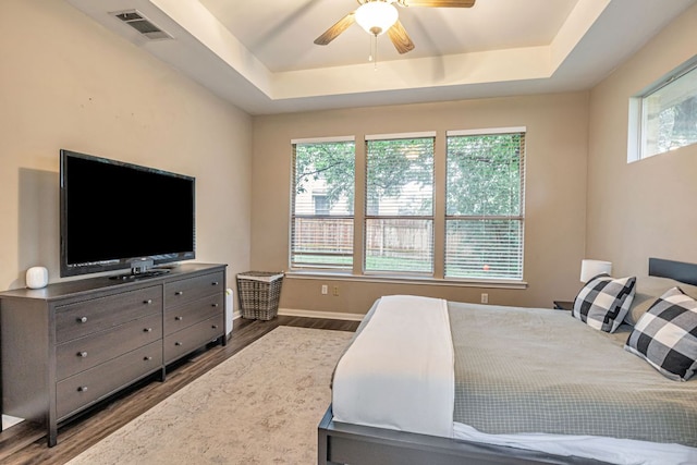 6419 Ira Ingram Dr, Austin, TX 78749 - bedroom featuring a raised ceiling, multiple windows, and wood finished floors