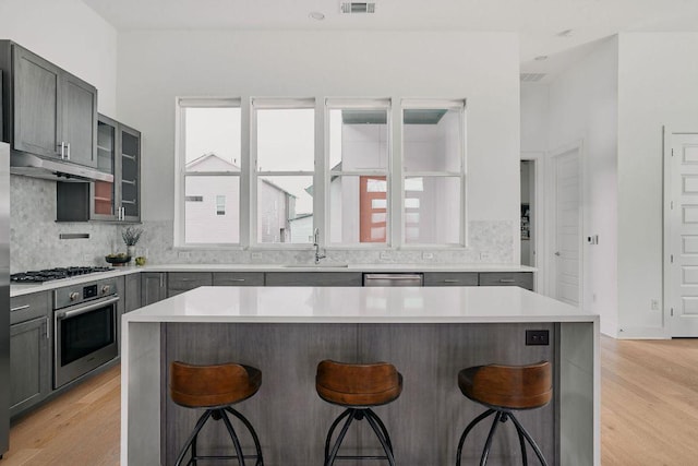 6116 Toscana Ave, Austin, TX 78724 - kitchen featuring appliances with stainless steel finishes, a sink, gray cabinetry, under cabinet range hood, and light wood-style flooring