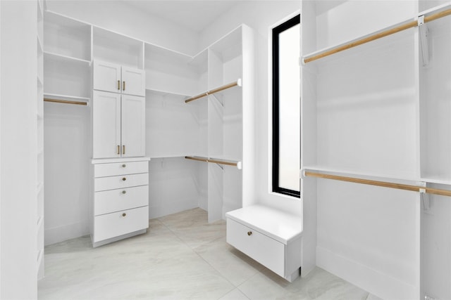 1719 Piedmont Ave, Austin, TX 78757 - view of walk in closet