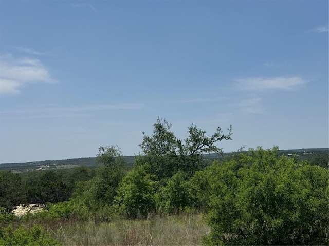 TBD Honeycomb Dr, Leander, TX 78641 - photo 9