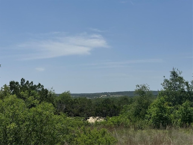TBD Honeycomb Dr, Leander, TX 78641 - photo 4