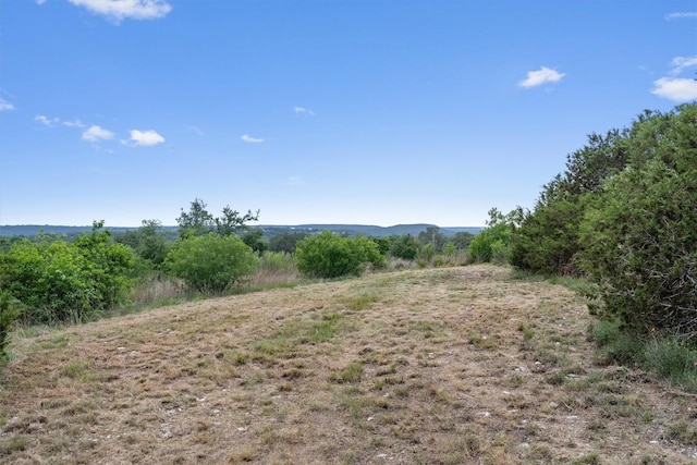 TBD Honeycomb Dr, Leander, TX 78641 - photo 15