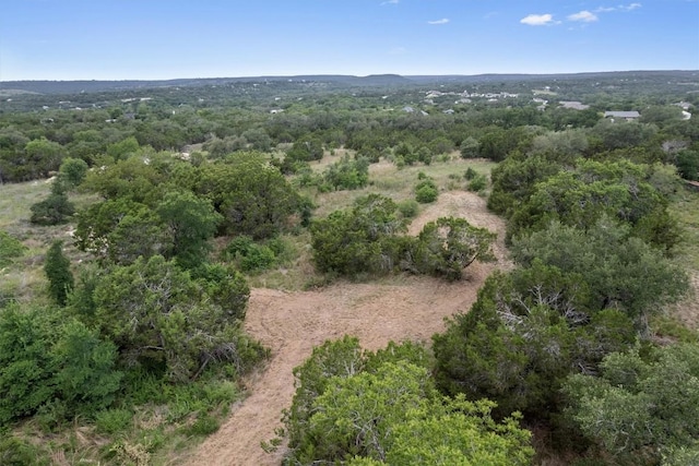 TBD Honeycomb Dr, Leander, TX 78641 - photo 13