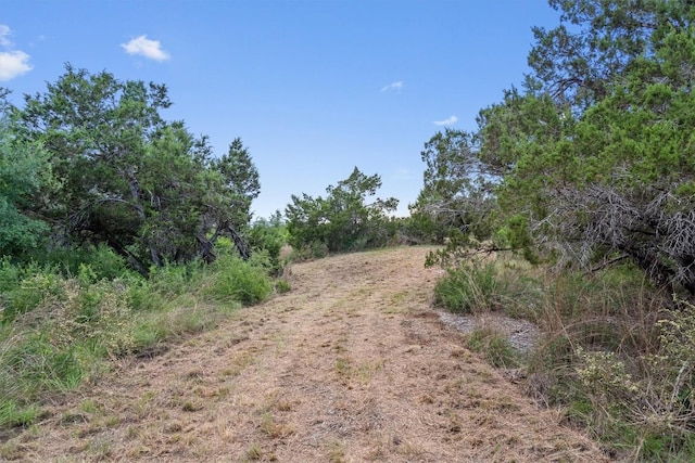 TBD Honeycomb Dr, Leander, TX 78641 - photo 14