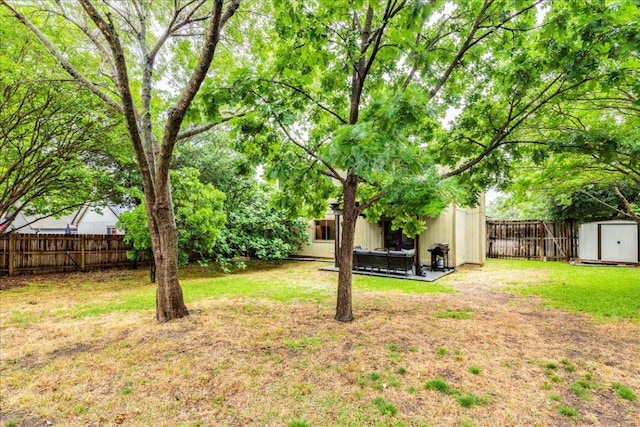 12005 Thompkins Dr, Austin, TX 78753 - fenced backyard featuring a shed