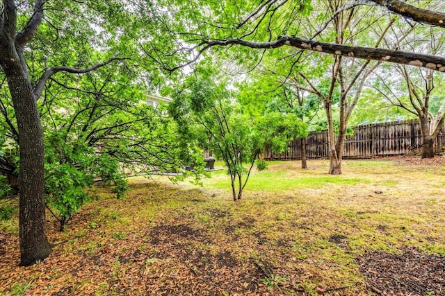 12005 Thompkins Dr, Austin, TX 78753 - view of yard
