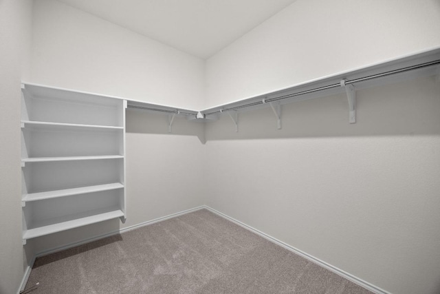 3747 Liberi Ln, Round Rock, TX 78665 - spacious closet with carpet floors