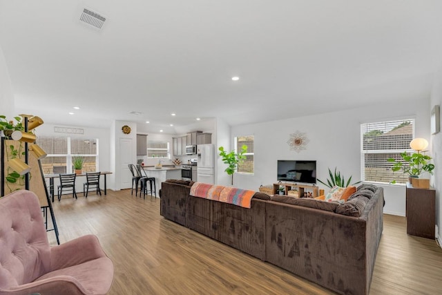 3201 Dusted Daisey St, Pflugerville, TX 78660 - living area featuring wood finished floors and recessed lighting