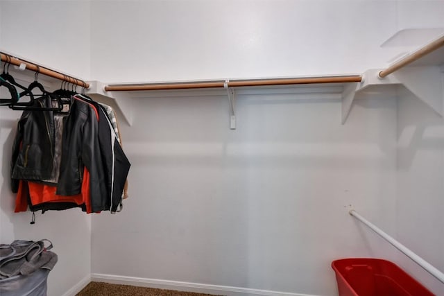walk in closet featuring carpet
