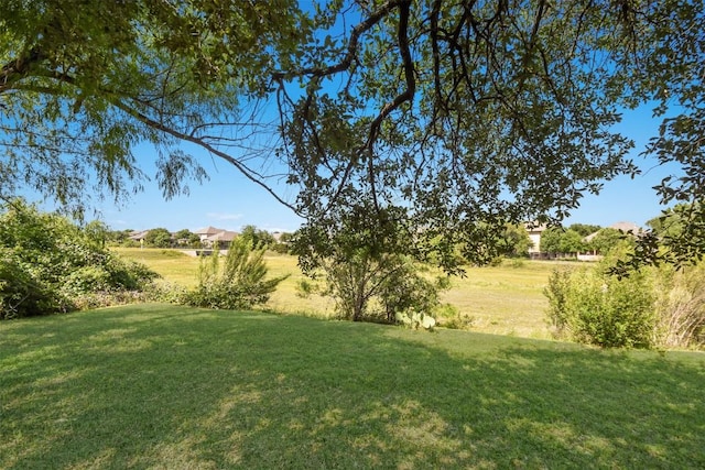 view of grassy yard