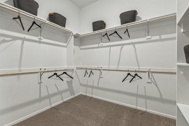 208 Hidalgo Ln, Elgin, TX 78621 - walk in closet with dark colored carpet