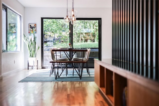 dining area with wood finished floors and baseboards
