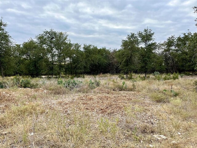 view of tree filled area
