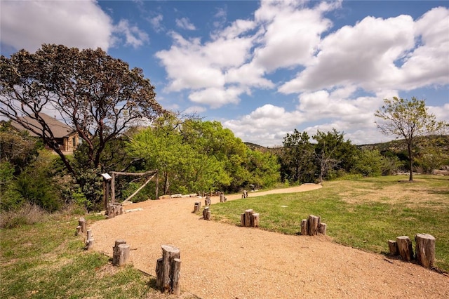 6108 Antelope Well Ln, Austin, TX 78738 - surrounding community featuring a lawn