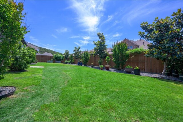 6108 Antelope Well Ln, Austin, TX 78738 - view of yard