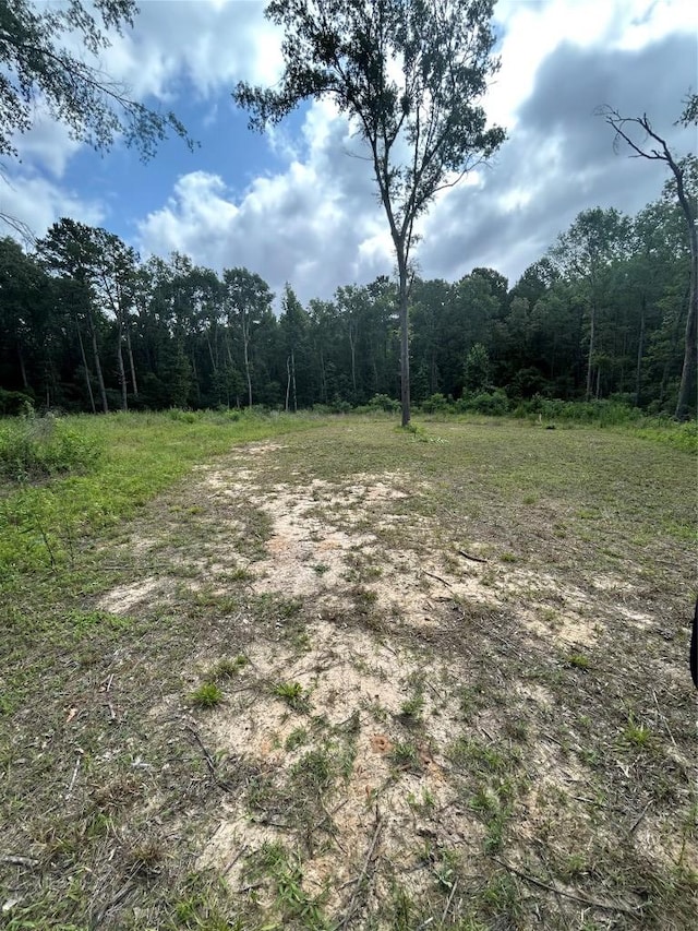 000 An County Road 137th Rd, Elkhart, TX 75839 - photo 2