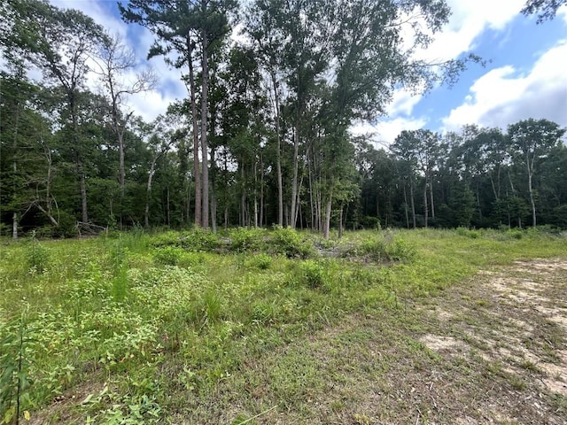 000 An County Road 137th Rd, Elkhart, TX 75839 - photo 3