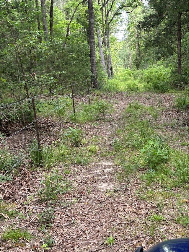 000 An County Road 137th Rd, Elkhart, TX 75839 - photo 4