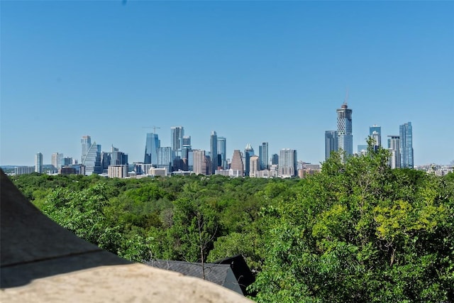 806 Rosedale Ter, Austin, TX 78704 - view of city skyline