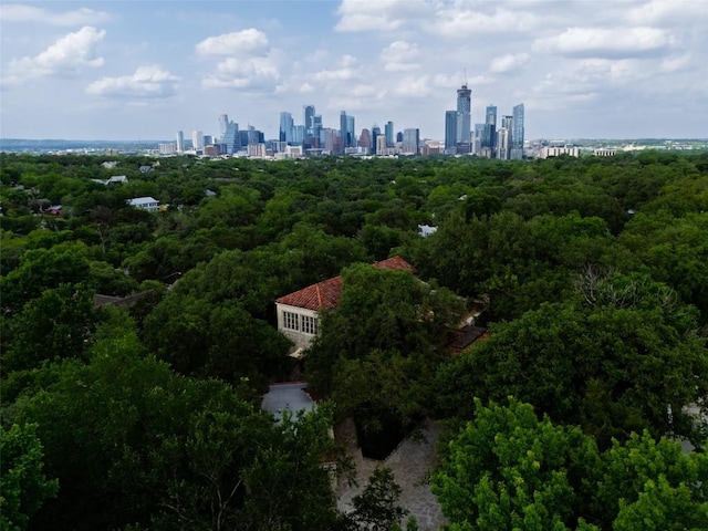 806 Rosedale Ter, Austin, TX 78704 - aerial view of city skyline
