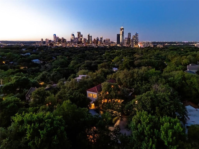 806 Rosedale Ter, Austin, TX 78704 - city view with a heavily wooded area
