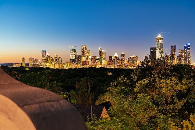 806 Rosedale Ter, Austin, TX 78704 - skyline view