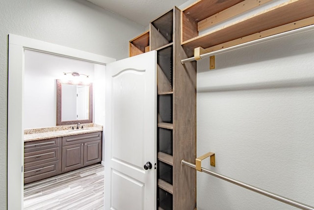 121 Grassy Ln, Elgin, TX 78621 - walk in closet with a sink and light wood-type flooring