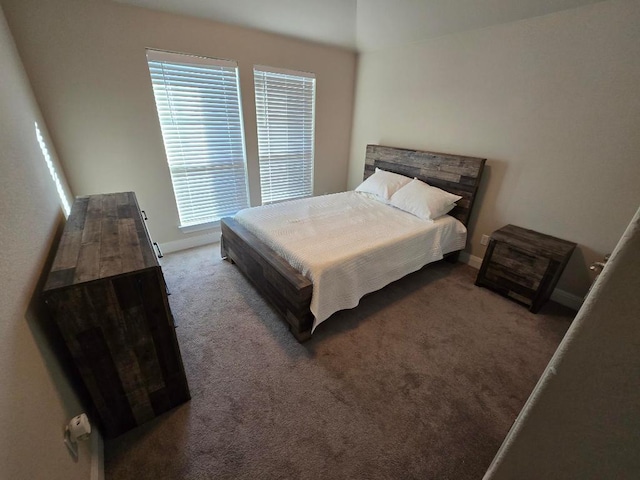 539 Tanda Ln, Hutto, TX 78634 - bedroom with carpet floors, multiple windows, and baseboards