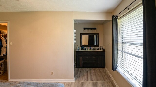 bathroom with healthy amount of natural light, wood finished floors, vanity, and a walk in closet