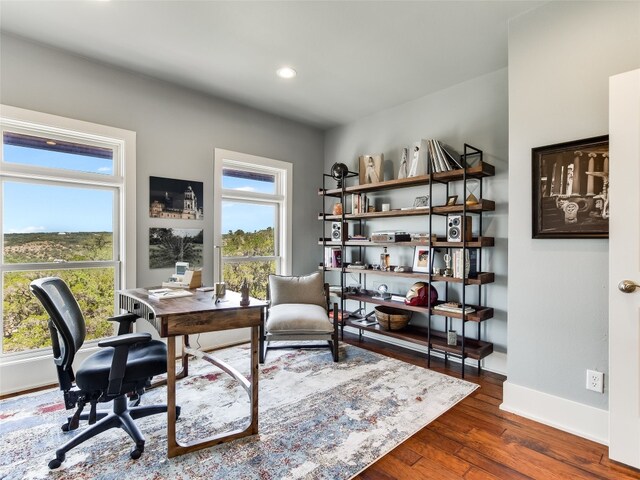 400 Hillview Rd, Wimberley, TX 78676 - office area featuring baseboards, wood finished floors, and recessed lighting