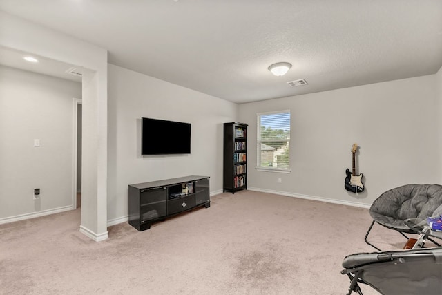 135 Mary Max Cir, San Marcos, TX 78666 - photo 19