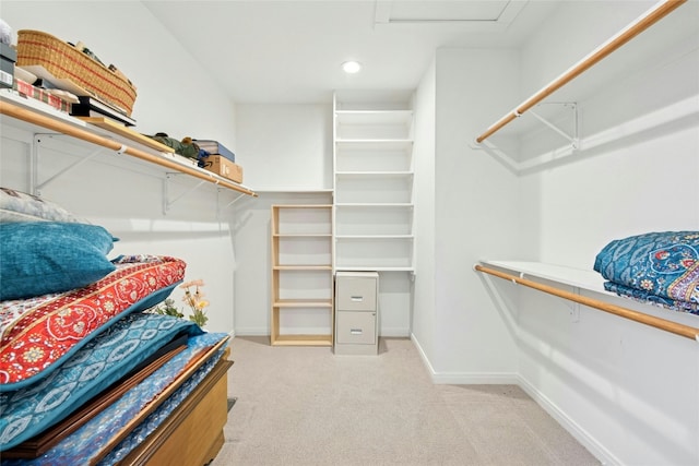 2627 Oak Meadow Dr, Round Rock, TX 78681 - spacious closet featuring attic access and carpet floors