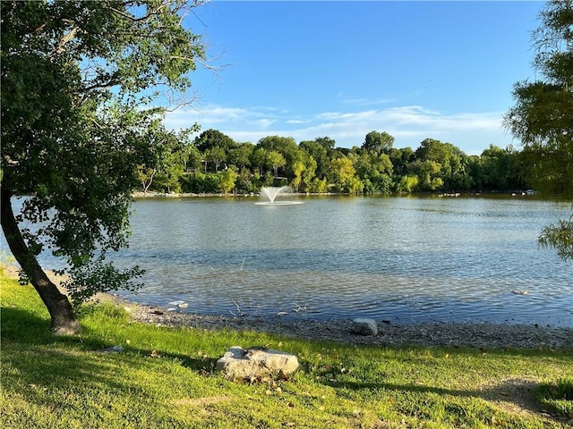 2627 Oak Meadow Dr, Round Rock, TX 78681 - water view