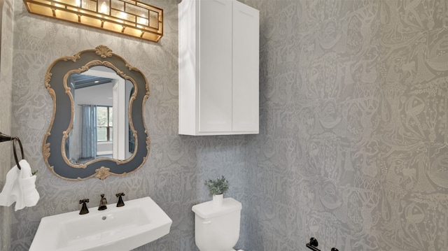 1506 Fox Sparrow Trl, Cedar Park, TX 78613 - half bath featuring a sink, toilet, and wallpapered walls
