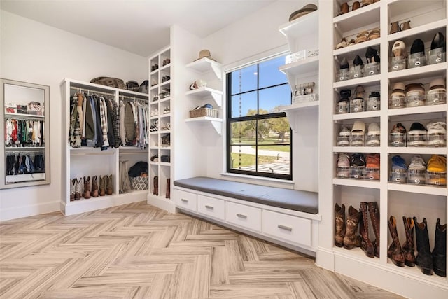 705 Highland Overlook, Georgetown, TX 78633 - view of spacious closet