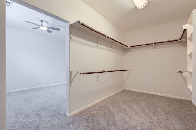 409 S Frontier Ln, Cedar Park, TX 78613 - walk in closet featuring carpet and ceiling fan