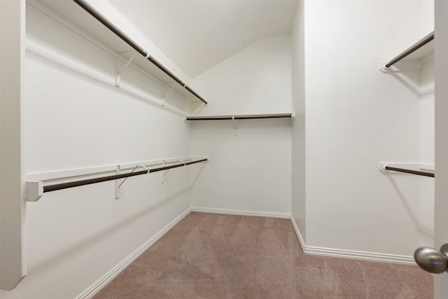 spacious closet featuring carpet and vaulted ceiling