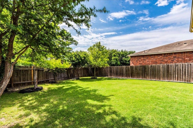 1713 Lady Grey Ave, Pflugerville, TX 78660 - view of yard