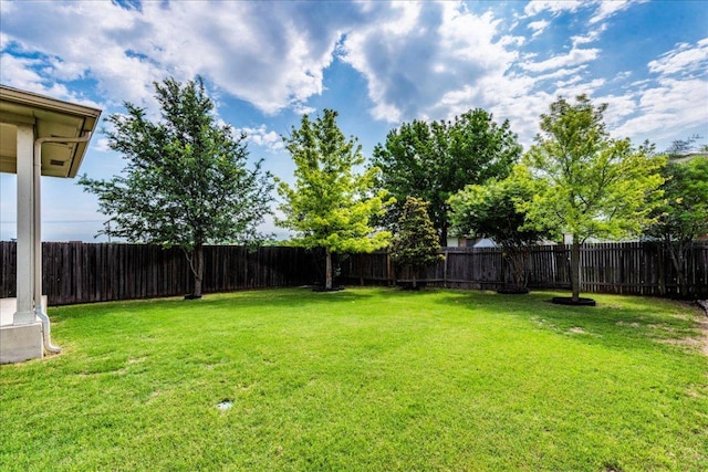 1713 Lady Grey Ave, Pflugerville, TX 78660 - view of yard