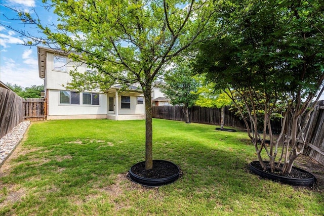 1713 Lady Grey Ave, Pflugerville, TX 78660 - view of yard