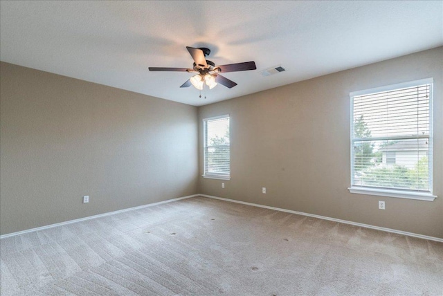 1713 Lady Grey Ave, Pflugerville, TX 78660 - photo 19