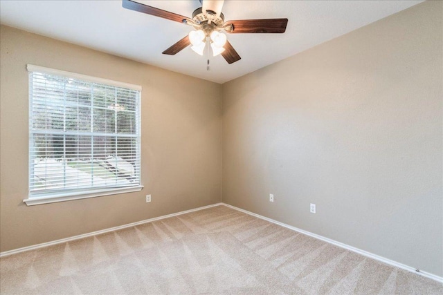 1713 Lady Grey Ave, Pflugerville, TX 78660 - photo 24