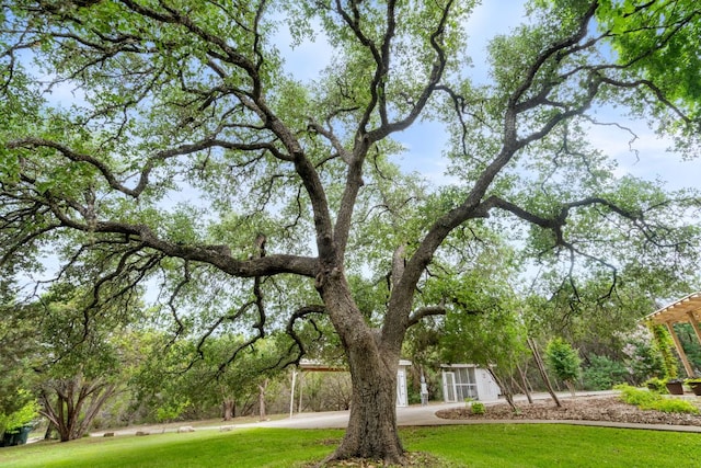 501 Box Canyon Rd, Wimberley, TX 78676 - photo 24