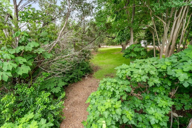 501 Box Canyon Rd, Wimberley, TX 78676 - photo 35