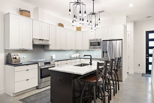 1310 Choquette Dr Unit B, Austin, TX 78757 - kitchen featuring stainless steel appliances, a sink, under cabinet range hood, and decorative backsplash