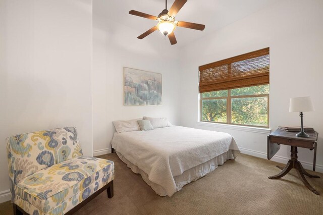 4105 Michael Neill Dr, Austin, TX 78730 - carpeted bedroom with baseboards and ceiling fan