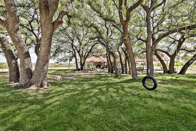 3656 Rr 2657, Copperas Cove, TX 76539 - view of green lawn
